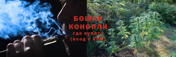 гидра Надым